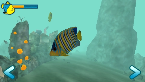 Reef Aquarium