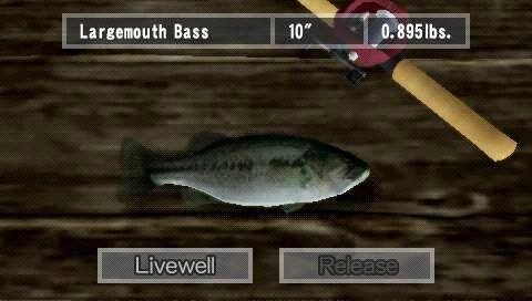 Reel Fishing The Great Outdoors