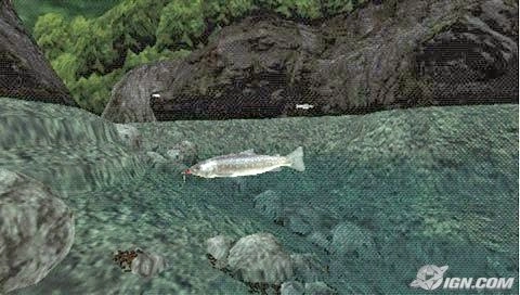 Reel Fishing The Great Outdoors