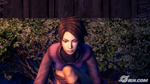 Tenchu Shadow Assasins