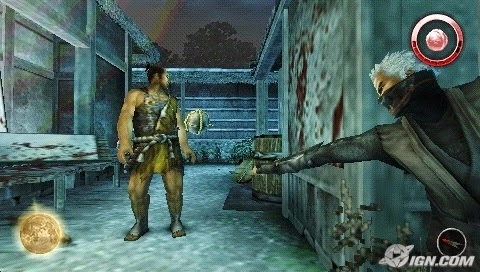 Tenchu Shadow Assasins