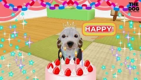 The Dog Happy Life
