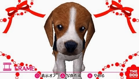 The Dog Happy Life
