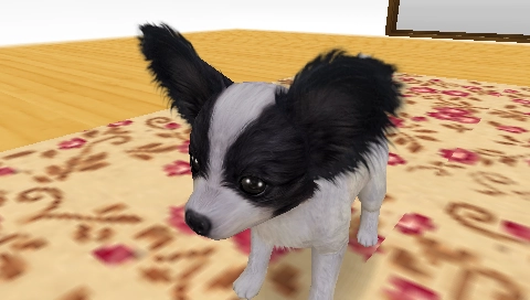 The Dog Happy Life